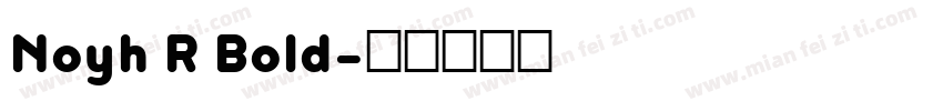 Noyh R Bold字体转换